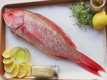 Load and play video in Gallery viewer, Whole Silk Snapper, each