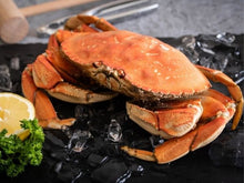 Load image into Gallery viewer, Live Dungeness Crab, each