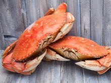 Load image into Gallery viewer, Live Dungeness Crab, each