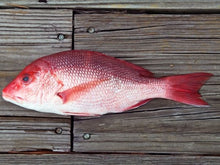 Load image into Gallery viewer, Whole Red Snapper, each