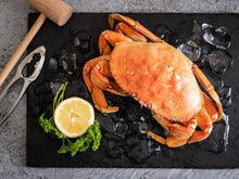 Load image into Gallery viewer, Live Dungeness Crab, each