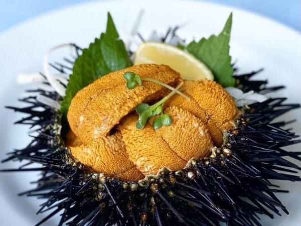 Live Sea Urchin (Uni), each