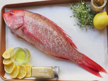 Load and play video in Gallery viewer, Whole Red Snapper, each
