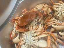 Load image into Gallery viewer, Pot with Colossal Yellow Rock Crab Boil

