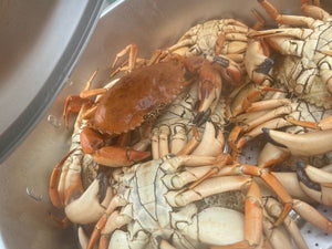 Pot with Colossal Yellow Rock Crab Boil