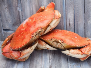 Live Dungeness Crab, each