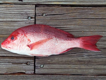 Load image into Gallery viewer, Whole Red Snapper, each
