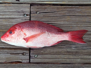 Whole Red Snapper, each